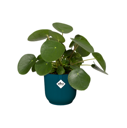 Blumentopf Vibes Fold Round Deep Blue Elho 22 cm