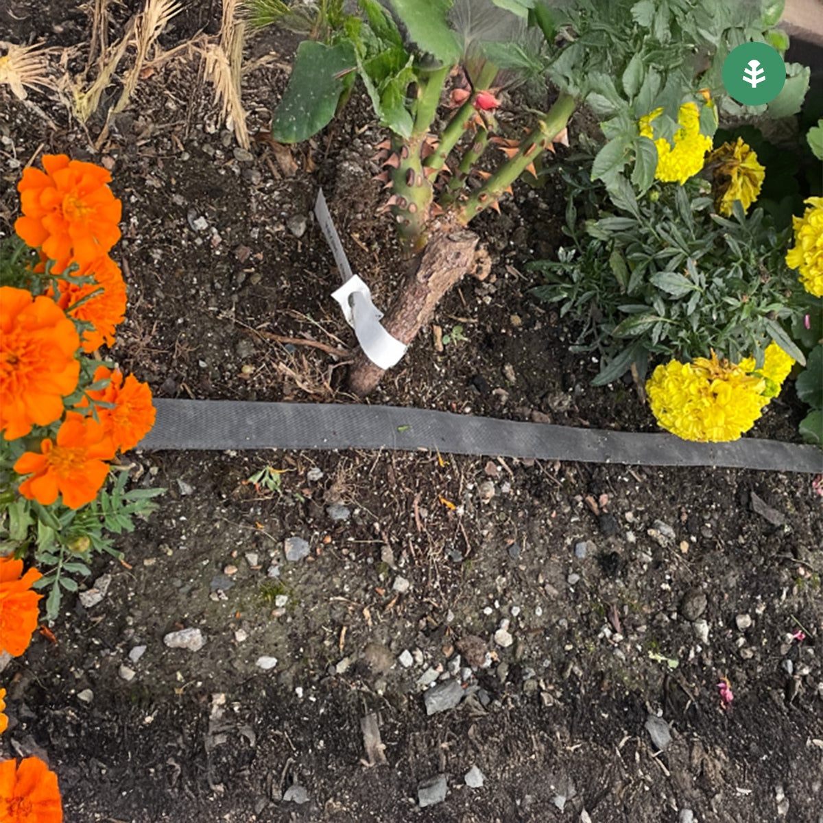 Rotolo di essudazione Planeta Huerto da giardino 50 m