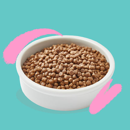 Kittenvoer met verse eend en kip Edgard & Cooper 2 kg