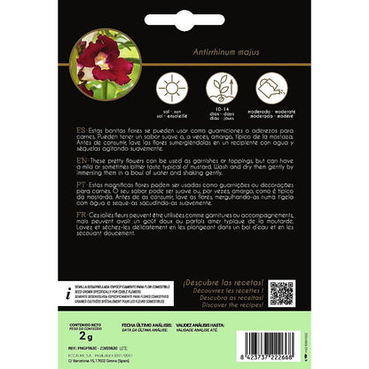 Essbare Blumensamen Antirrino Boca De Dragón Rocalba