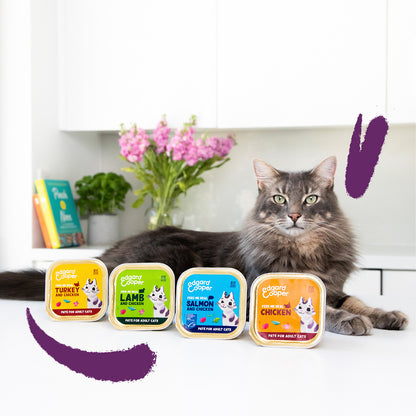 Nourriture humide pour chats pâté en barquette dinde et poulet Edgard & Cooper 85 g