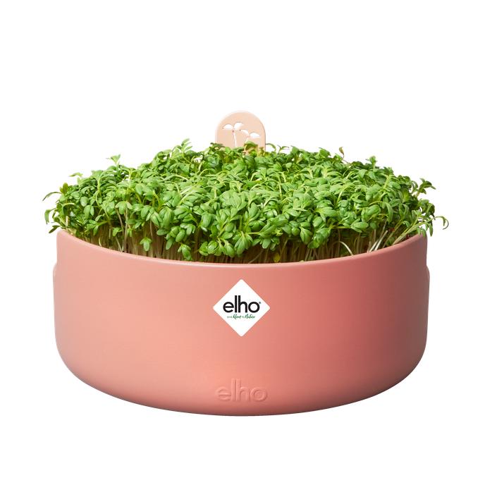 Kiełkownica Magic Microgreens Elho Terra