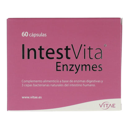 IntestVita Enzymes 60 gélules