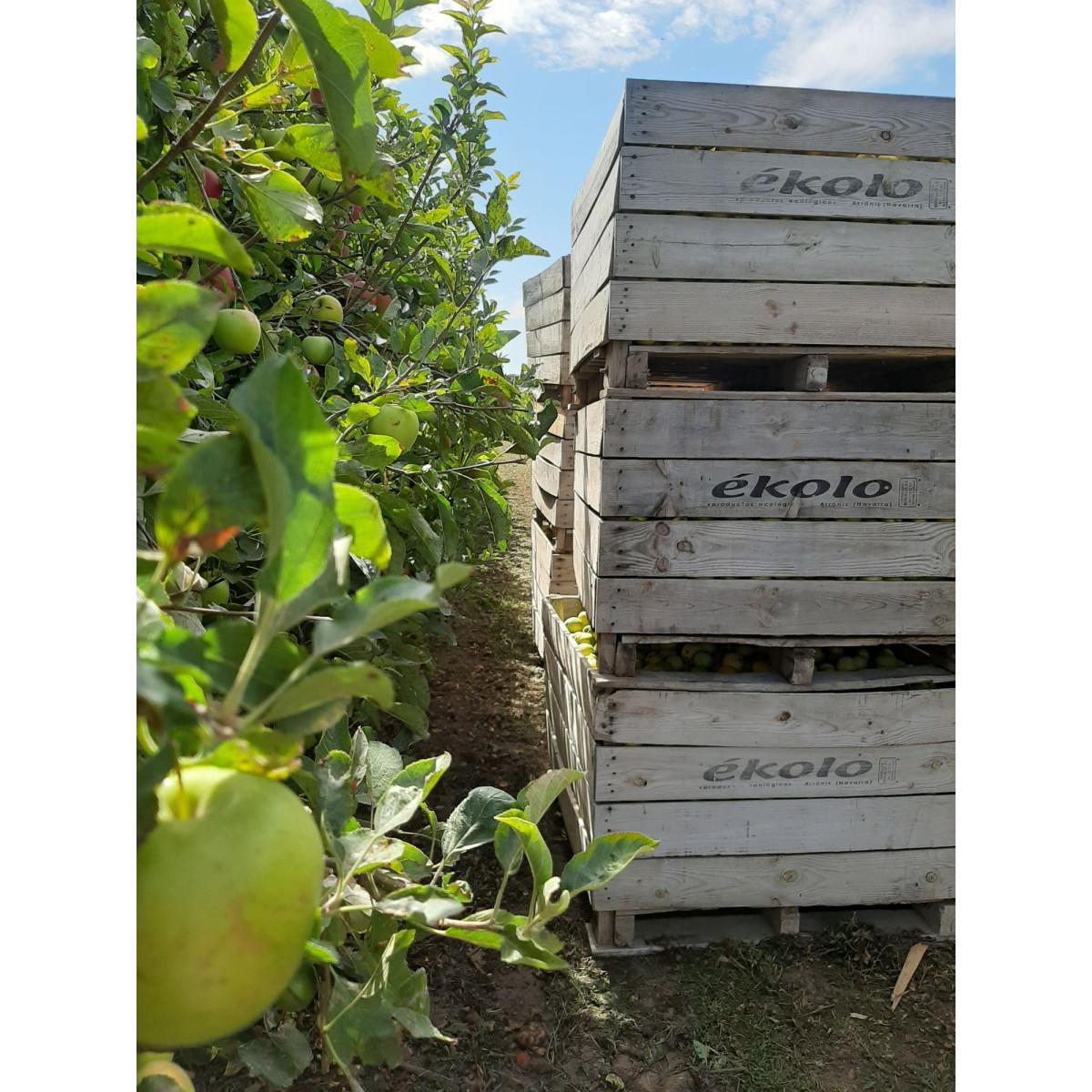 Elaborado de Pera y Manzana Ecológica sin azúcares añadidos Ékolo 700 g