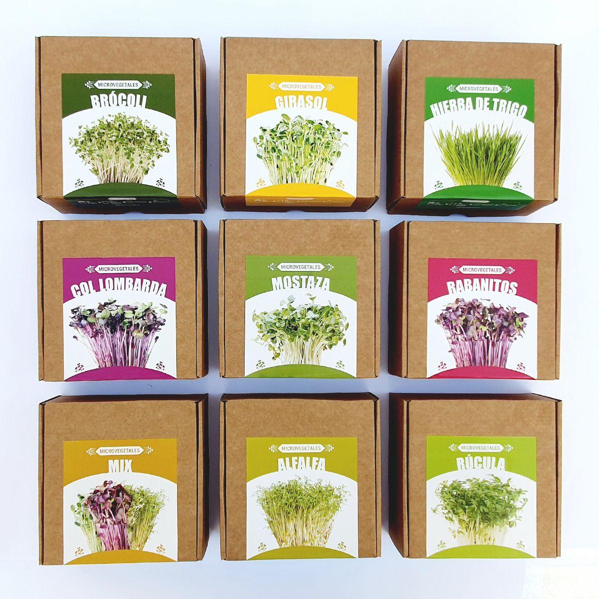 Mikro warzywa POP Mix