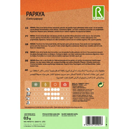 Semi di papaya Carica papaya