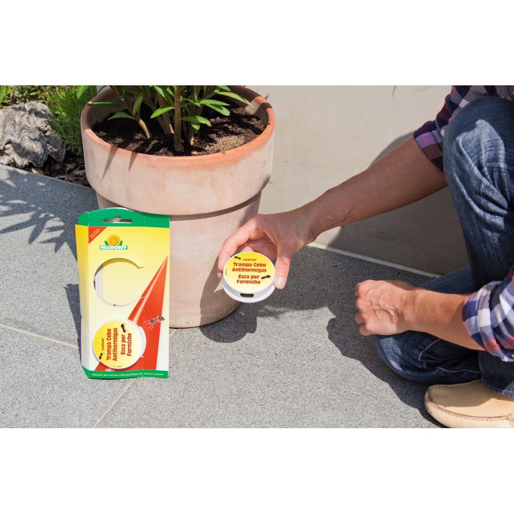 Trappola antiformiche ecologica Loxiran 2 pz Neudorff
