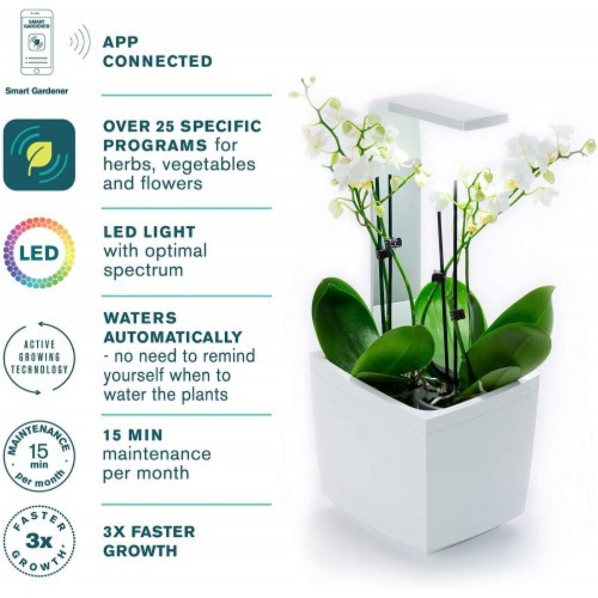 Vaso per coltivazione domestica T3 Kitchen Garden 20 x 17,5 cm Nero