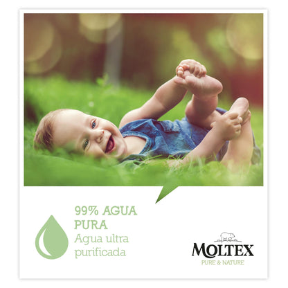 PROMO ESPECIAL Toallitas Moltex Pure & Nature, 120 Uds