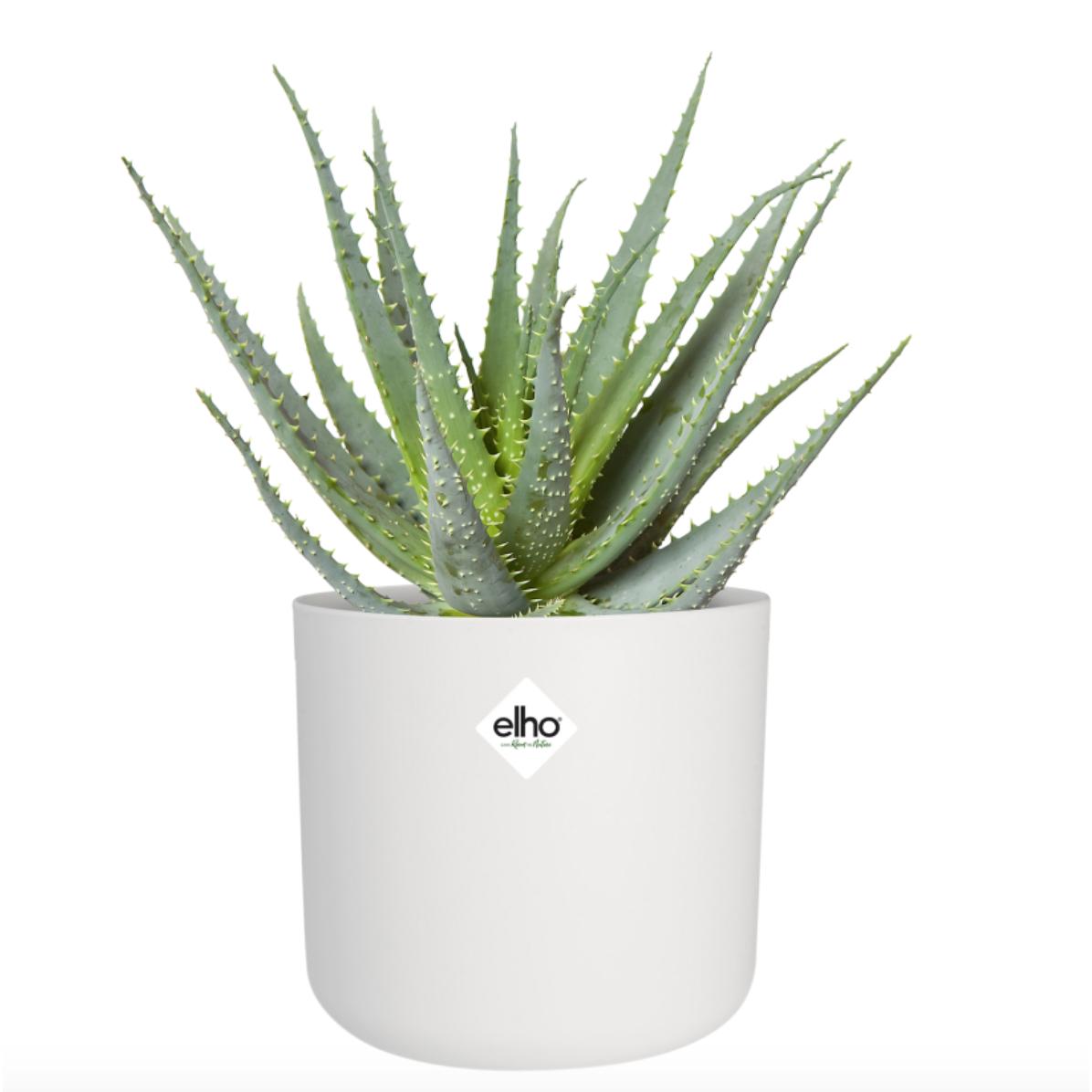 Bloempot B.for Soft Round Elho Wit 22 cm