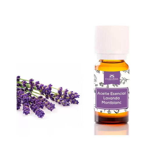 Eterisk lavendelolja, Camassia 10 ml