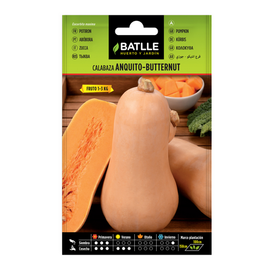 Semi di zucca Anquito-Butternut Batlle