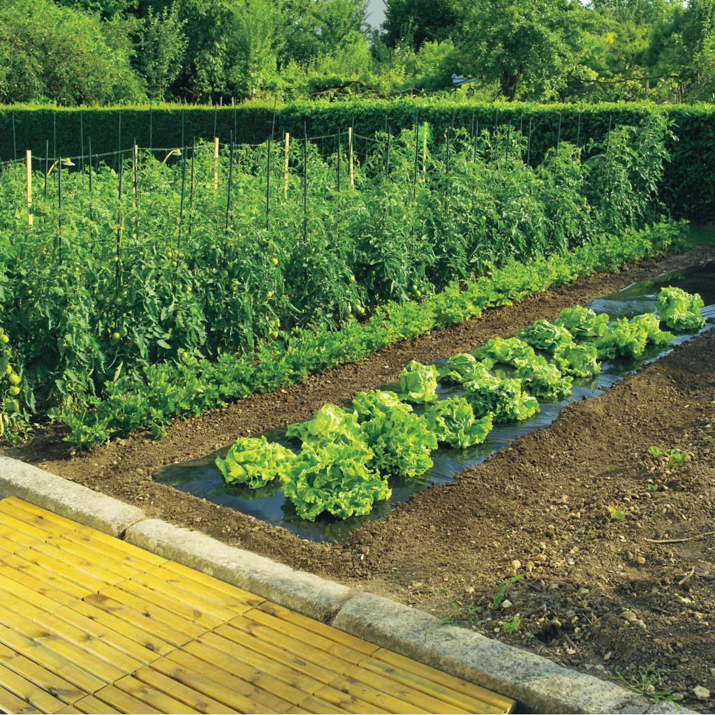 Terrafilm Nortene micro-perforated mulch film, 1.4 x 10 m