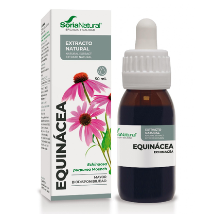 Echinacea-Extrakt Soria Natural, 50 ml