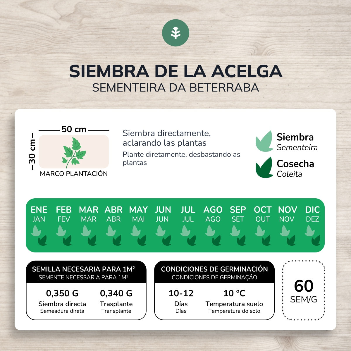 Semi di barbabietola verde biologica Planeta Huerto