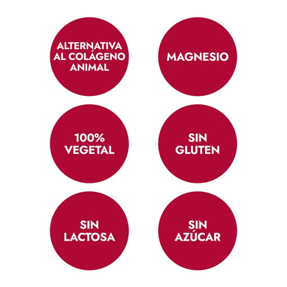 Aminoacidi di collagene gusto Cookies & Cream, Ana María La Justicia, 350 g in polvere