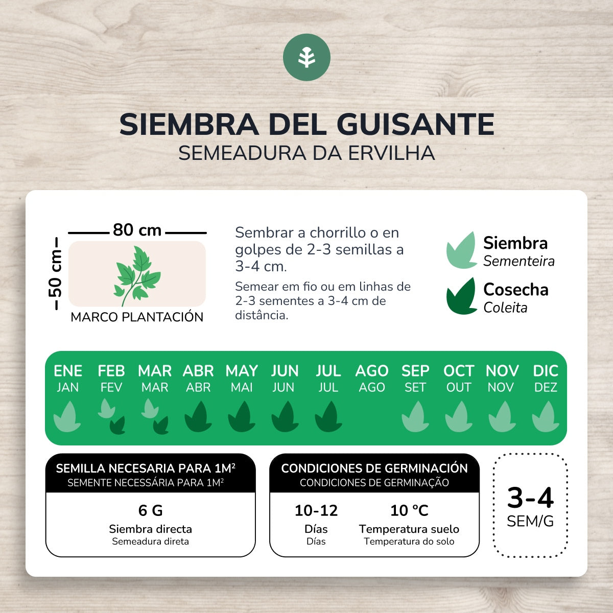 Semillas de Guisante rondo 1/2 enrame ecológicas Planeta Huerto