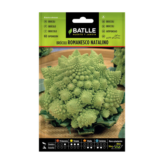 Semi di broccolo romanesco Natalino Batlle