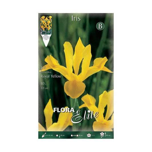 Gele irisbollen uit Nederland 10 stuks