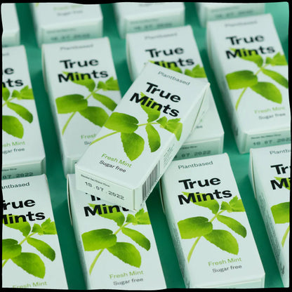 Plasticvrije pepermuntjes True Mints 13 g