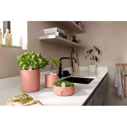 Kiełkownica Magic Microgreens Elho Terra