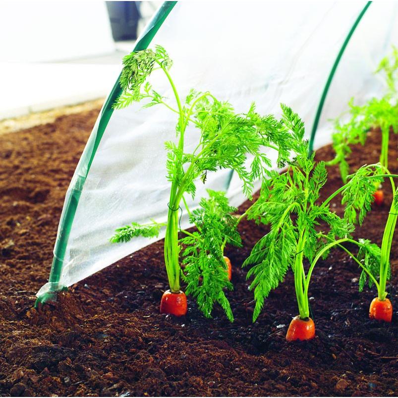 Pellicola per coltivazione verdure precoci Climafilm Nortene 2 x 10 m