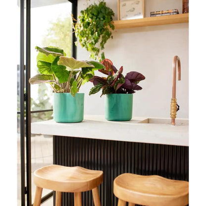 Macetero reciclado Ocean Round Elho verde pacífico 18 cm