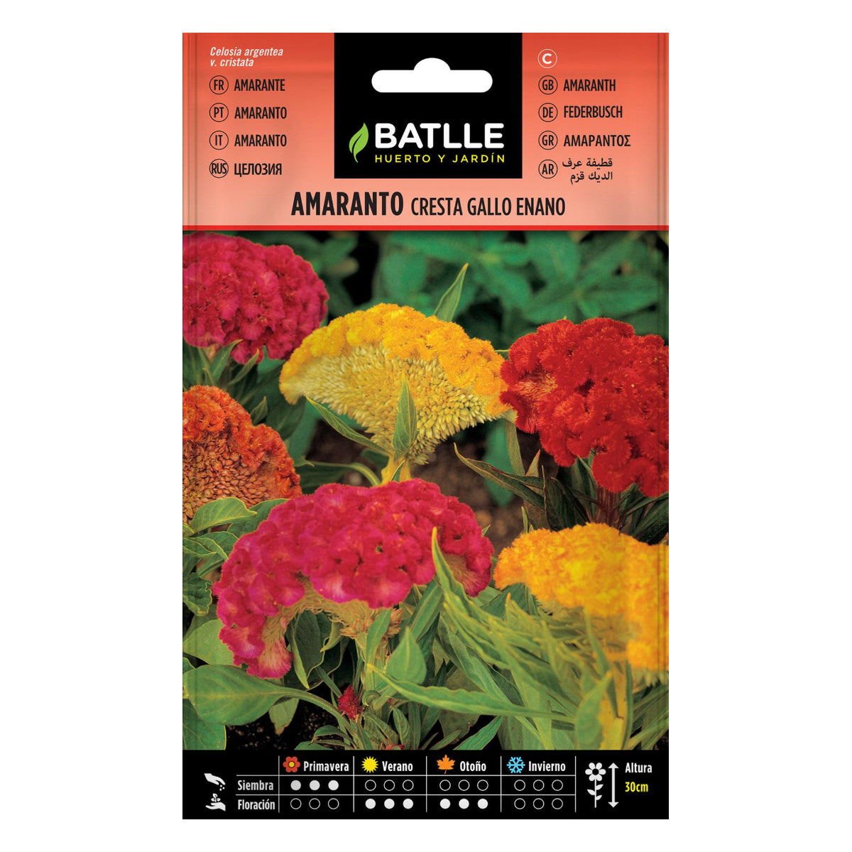 Batlle Dwarf Amaranth Seeds