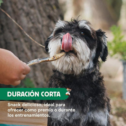 Snack natural Boquerones Deshidratados Wild Balance 40 g