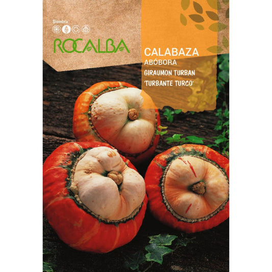 Semi di zucca giraumont turban "turbante turco"