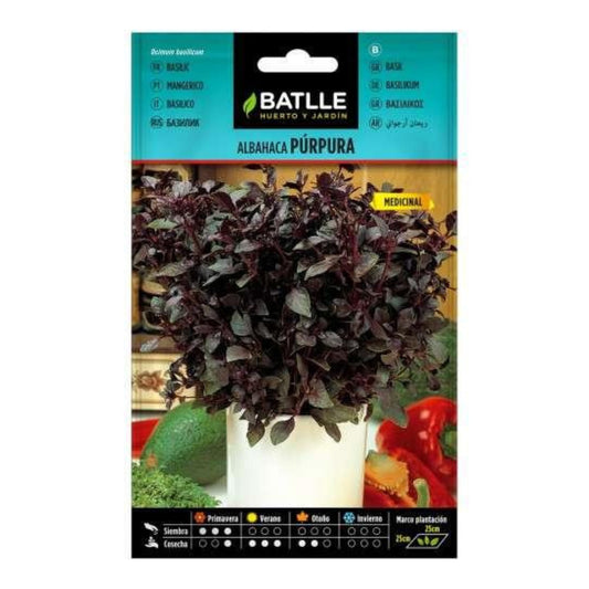 Graines de basilic pourpre Batlle