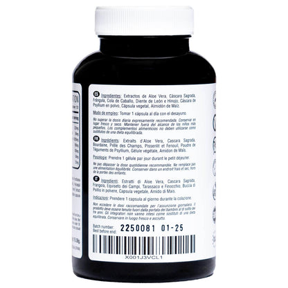 Aloe vera detox 120 veganistische capsules Hivital