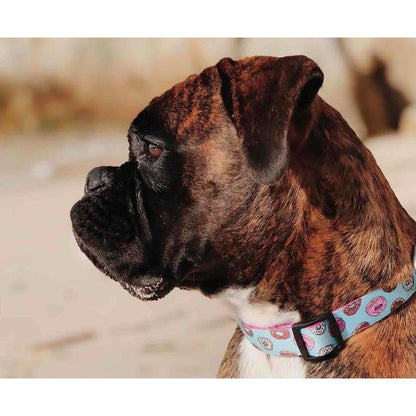 Collier pour chien CUPCAKES Dukier - Taille XS XS