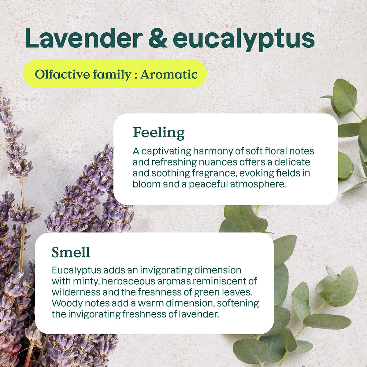Purificateur naturel Attitude Eucalyptus et Lavande 227 g