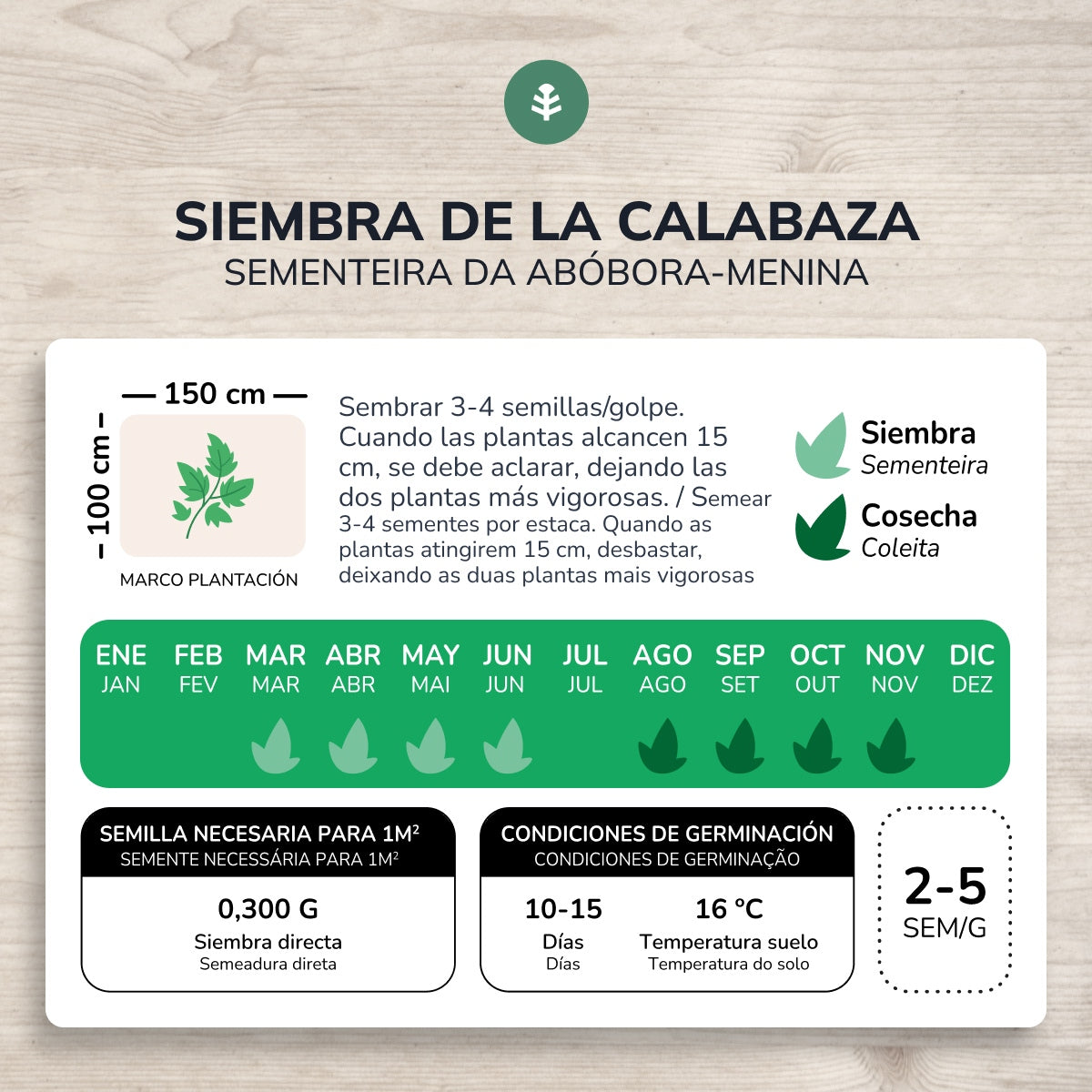 Organic Butternut Squash Seeds Planeta Huerto