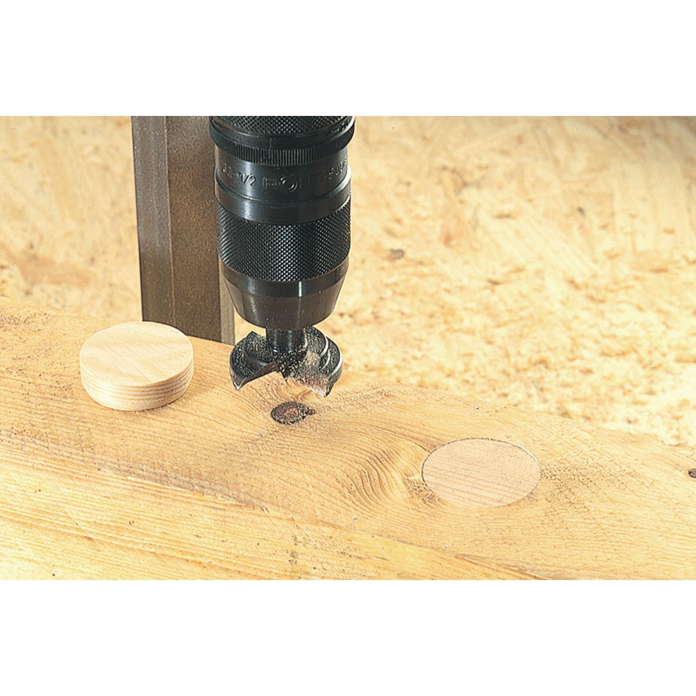 Platte spijkers of conische plaatjes Wolfcraft 50 stuks x diameter 15 mm.