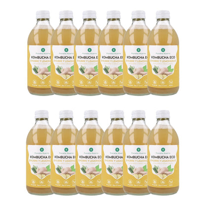 Pack 12x Kombucha ECO Jengibre y lemongrass Planeta Huerto 330 ml