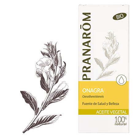 Huile végétale d'onagre BIO Pranarôm, 50 ml