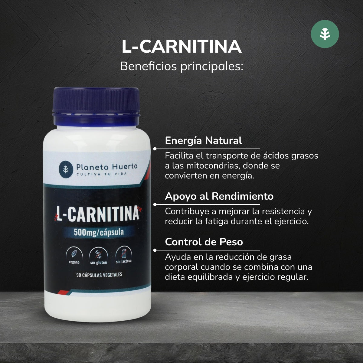 L-Carnitine 500 mg Planeta Huerto 90 Caps.