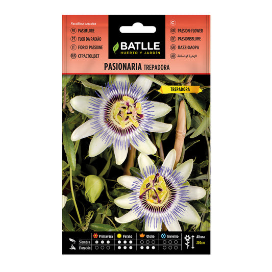 Passionsblumensamen Batlle