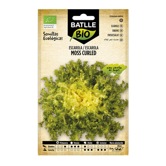 Zaden van escarole engelenhaar-moss curled biologisch Batlle