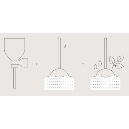 Desserts Garden Lollipop graines