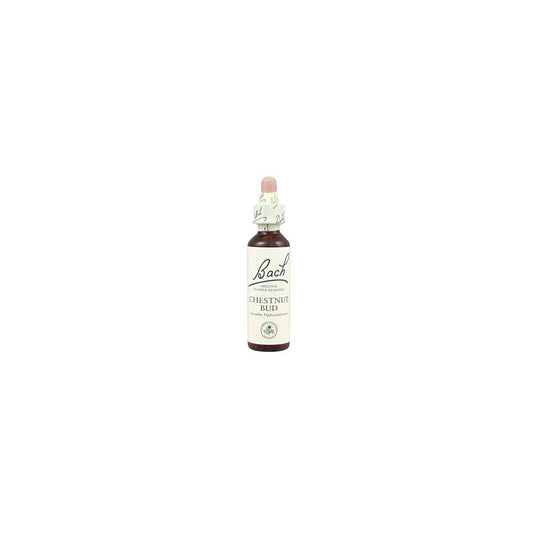 Bach 07 Chestnut Bud 20 ml (kastanjeskott) Bach